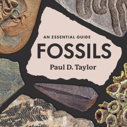 Fossils