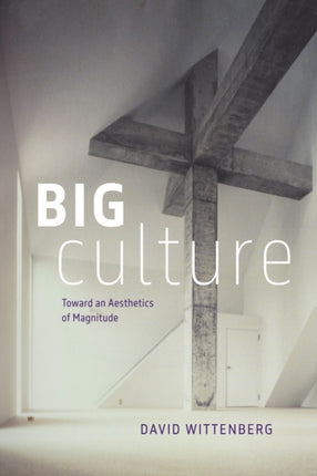 Big Culture