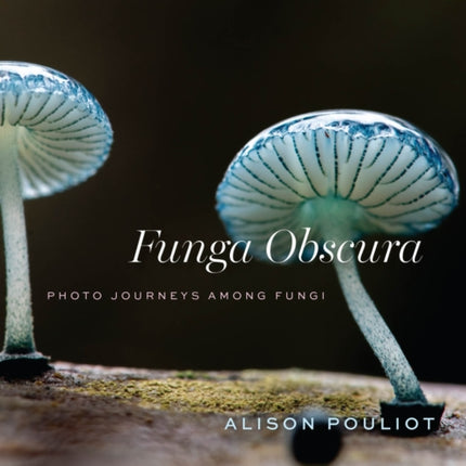 Funga Obscura