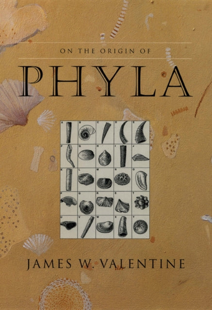 On the Origin of Phyla