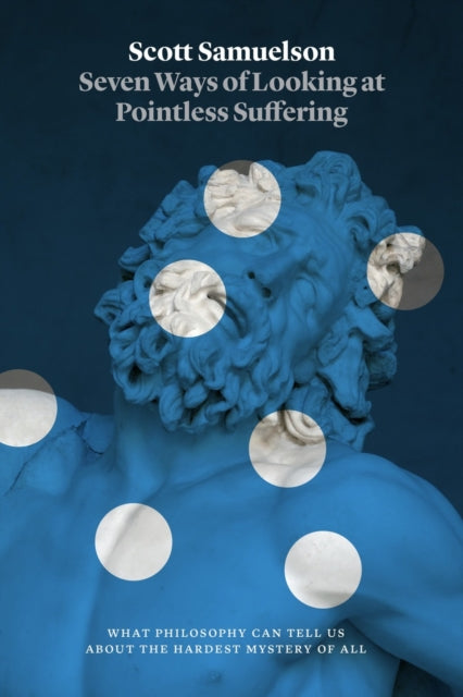 Seven Ways of Looking at Pointless Suffering  What Philosophy Can Tell Us about the Hardest Mystery of All