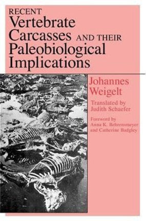 Recent Vertebrate Carcasses and Their Paleobiological Implications