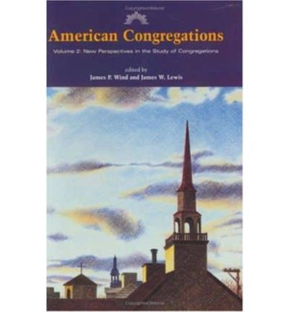 American Congregations Volume 2  New Perspectives