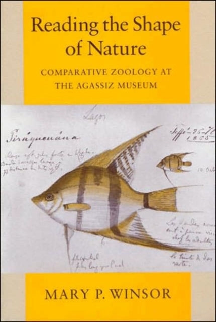 Reading the Shape of Nature: Comparative Zoology at the Agassiz Museum