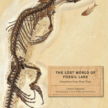 The Lost World of Fossil Lake: Snapshots from Deep Time