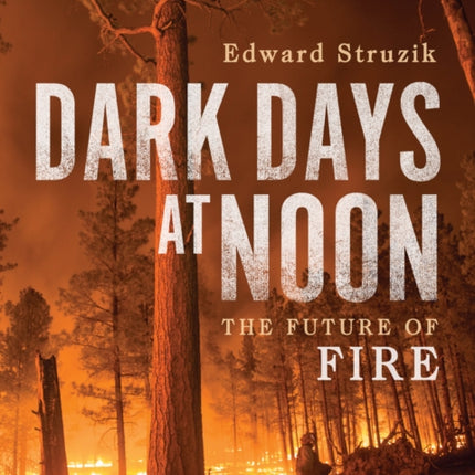 Dark Days at Noon: The Future of Fire