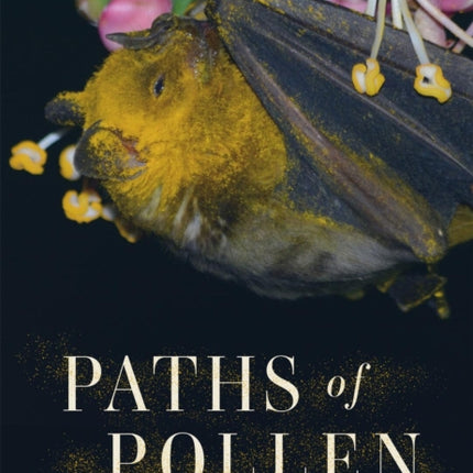 Paths of Pollen