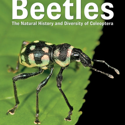 Beetles: The Natural History and Diversity of Coleoptera: 2018