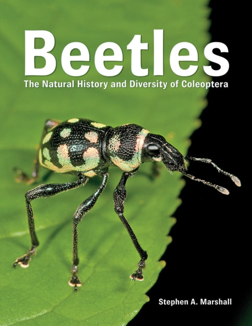 Beetles: The Natural History and Diversity of Coleoptera: 2018