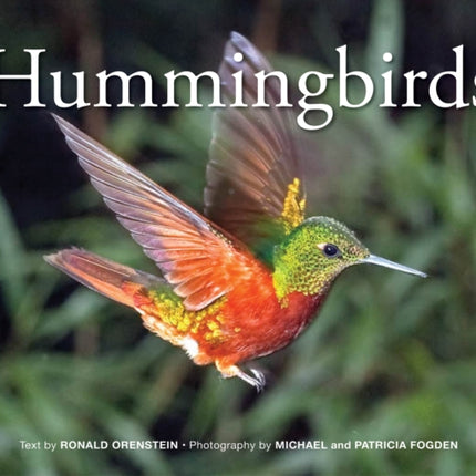 Hummingbirds: 2018