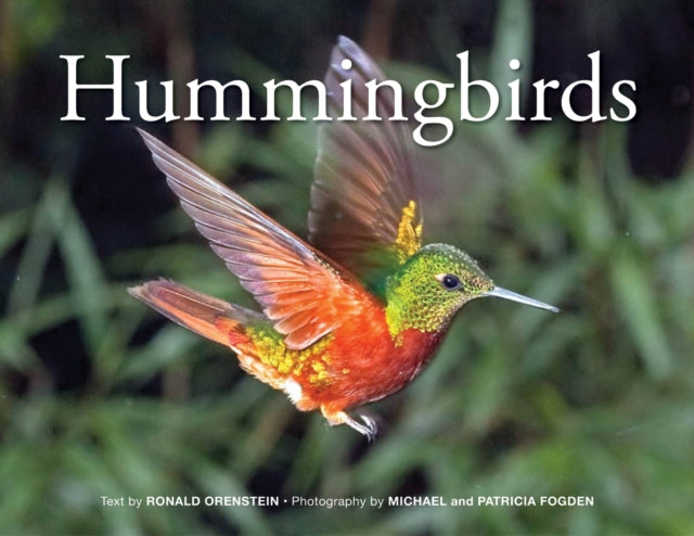 Hummingbirds: 2018