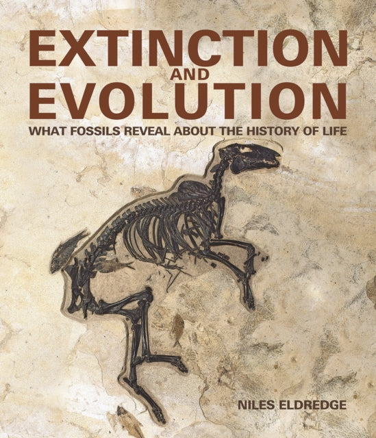 Extinction and Evolution: What Fossils Reveal about the History of Life