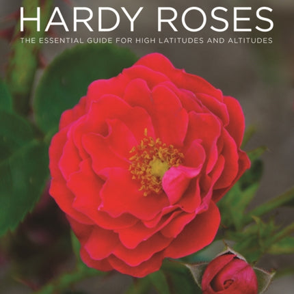 Hardy Roses: The Essential Guide for High Latitudes and Altitudes