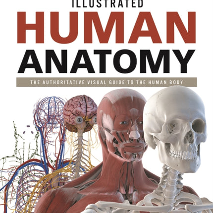 Illustrated Human Anatomy