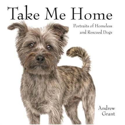 Take Me Home