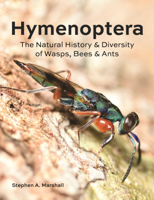 Hymenoptera: The Natural History and Diversity of Wasps, Bees and Ants