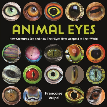 Animal Eyes: How Creatures See and How Their Eyes Have Adapted to Their World