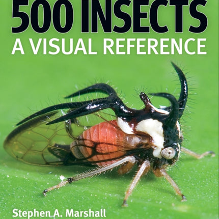 500 Insects