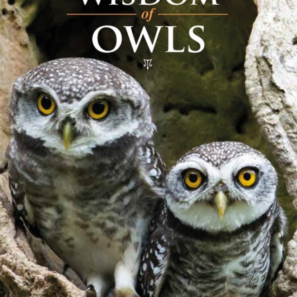 Wisdom of Owls