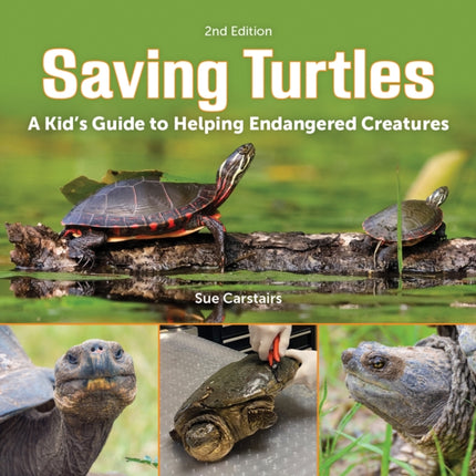 Saving Turtles