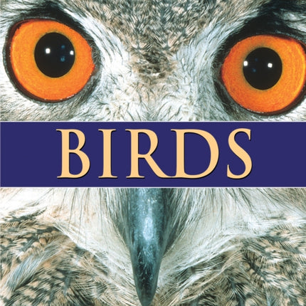 Firefly Encyclopedia of Birds