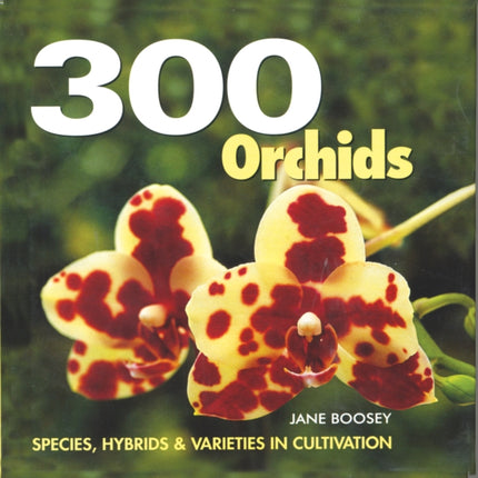300 Orchids