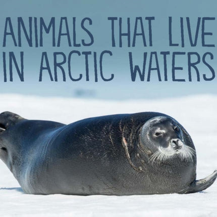 Animals That Live in Arctic Waters: English Edition