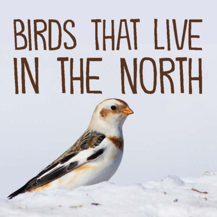 Birds That Live in the North: English Edition