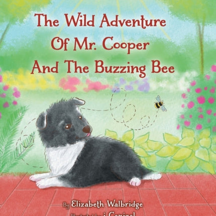 The Wild Adventure of Mr. Cooper and the Buzzing