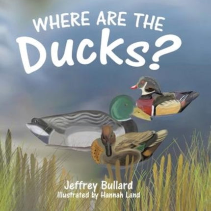 Where Are the Ducks