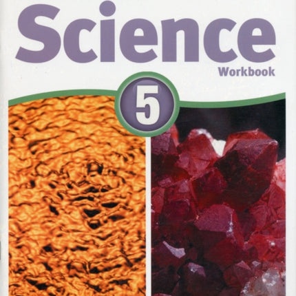 Macmillan Science Level 5 Workbook