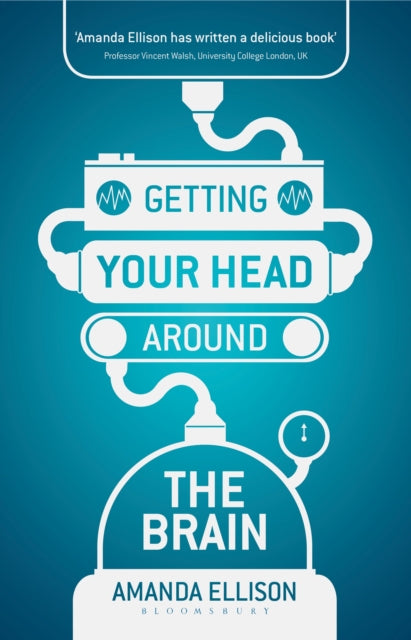 Getting your head around the brain
