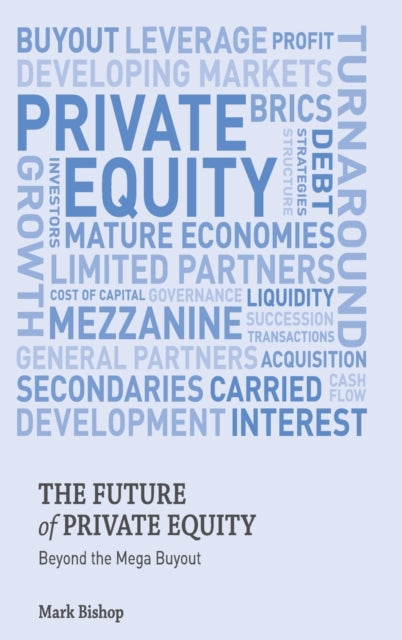 The Future of Private Equity: Beyond the Mega Buyout