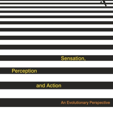 Sensation Perception and Action An Evolutionary Perspective