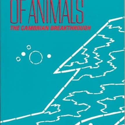 The Emergence of Animals