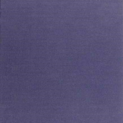The Antitrust Experiment 18901990 Critical Studies