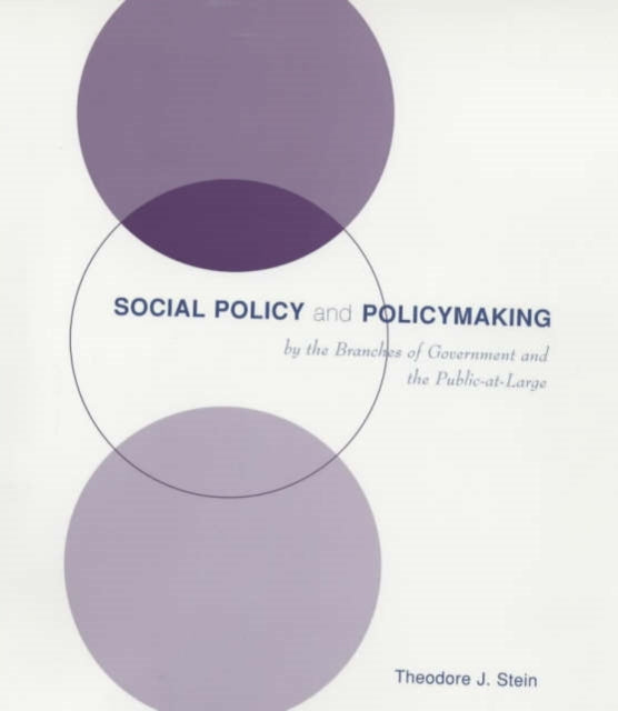 Social Policy and Policymaking by the Branches of Government and the Public-at-Large