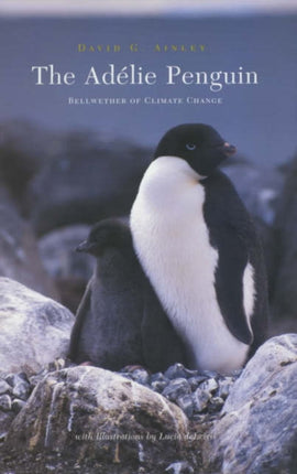The Adélie Penguin