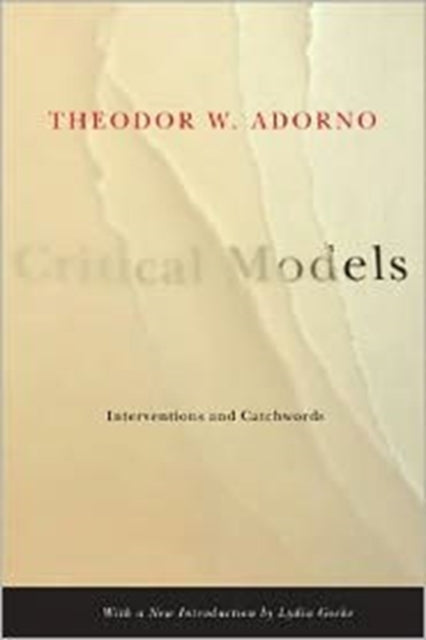 Critical Models: Interventions and Catchwords