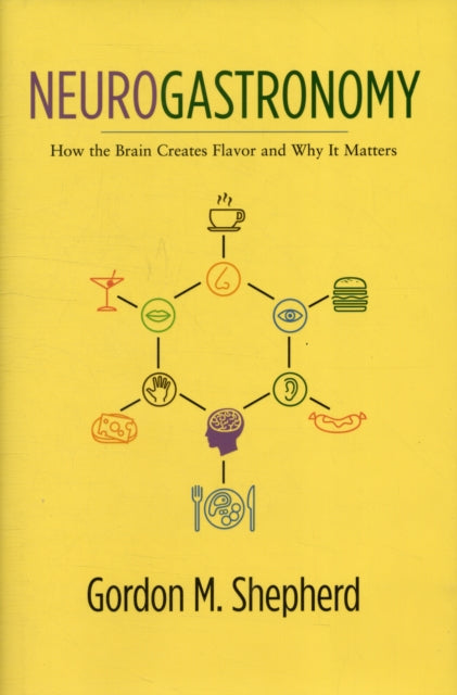 Neurogastronomy: How the Brain Creates Flavor and Why It Matters