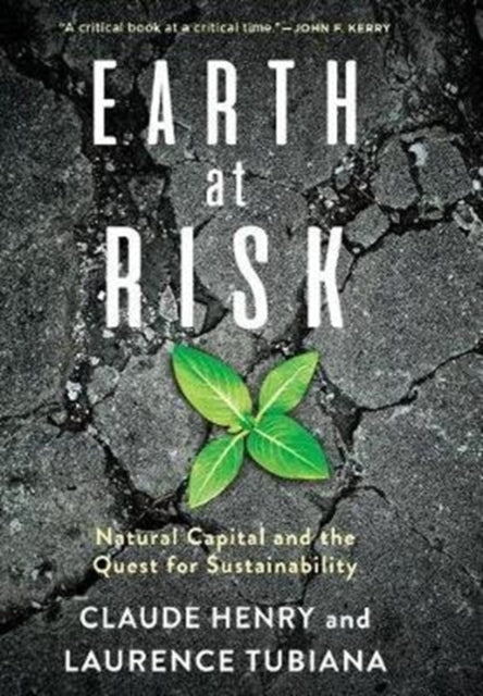 Earth at Risk: Natural Capital and the Quest for Sustainability