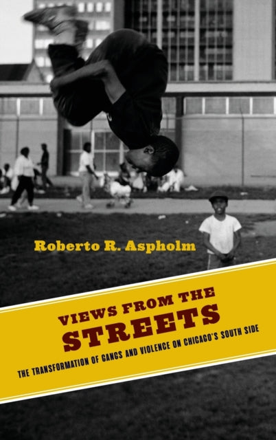 Views from the Streets: The Transformation of Gangs and Violence on Chicago's South Side