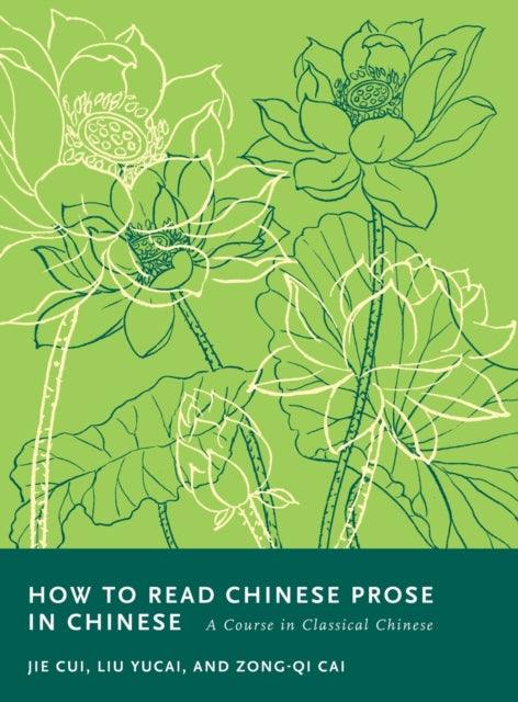 How to Read Chinese Prose in Chinese: A Course in Classical Chinese