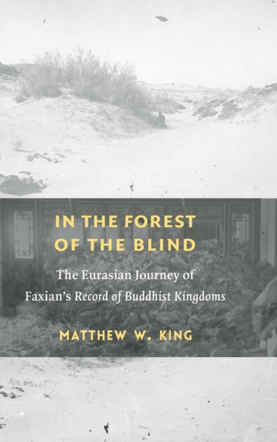 In the Forest of the Blind