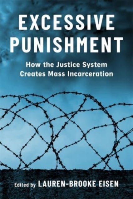 Excessive Punishment  How the Justice System Creates Mass Incarceration