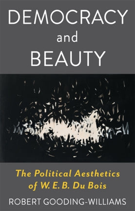 Democracy and Beauty  The Political Aesthetics of