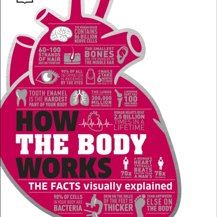 How the Body Works: The Facts Simply Explained