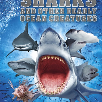 Sharks and Other Deadly Ocean Creatures: Visual Encyclopedia