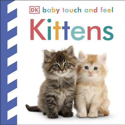 Baby Touch and Feel Kittens