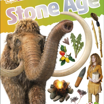 DKfindout! Stone Age